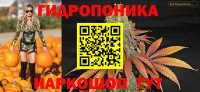 молекула духа Гусев