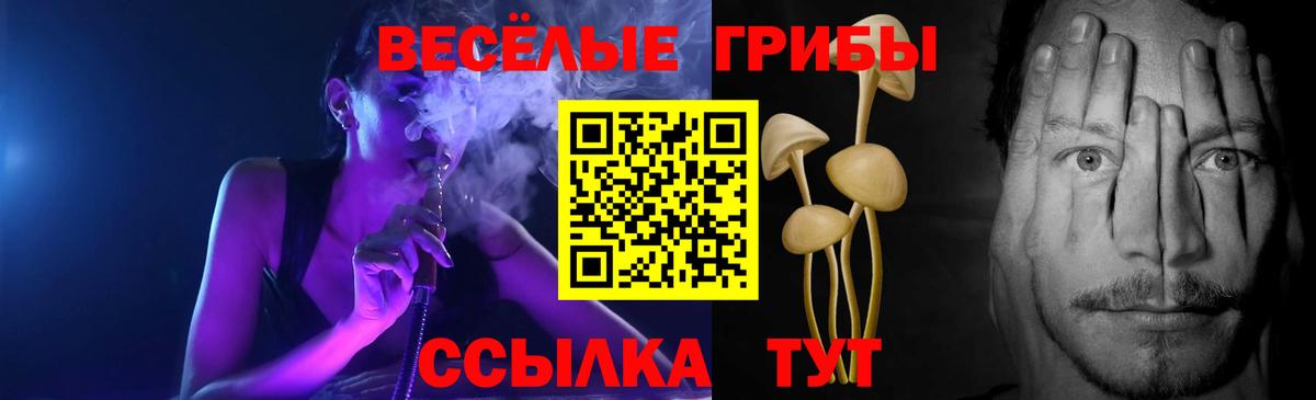 Псилоцибиновые грибы мухоморы  Вход с VPN  Муром  Галлюциногенные грибы мицелий 